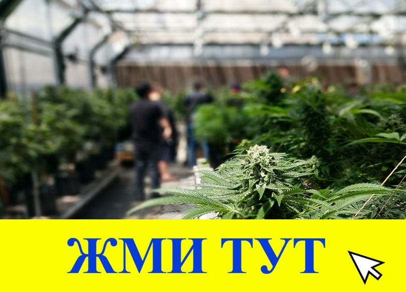 Купить наркотики в Вичуге